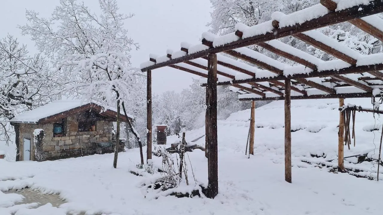 Holiday home Tana Della Lavanda Montefiorino Italy
