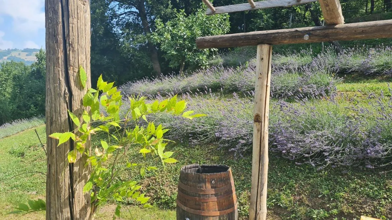 Tana Della Lavanda Montefiorino