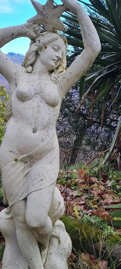 Tana Della Lavanda Montefiorino