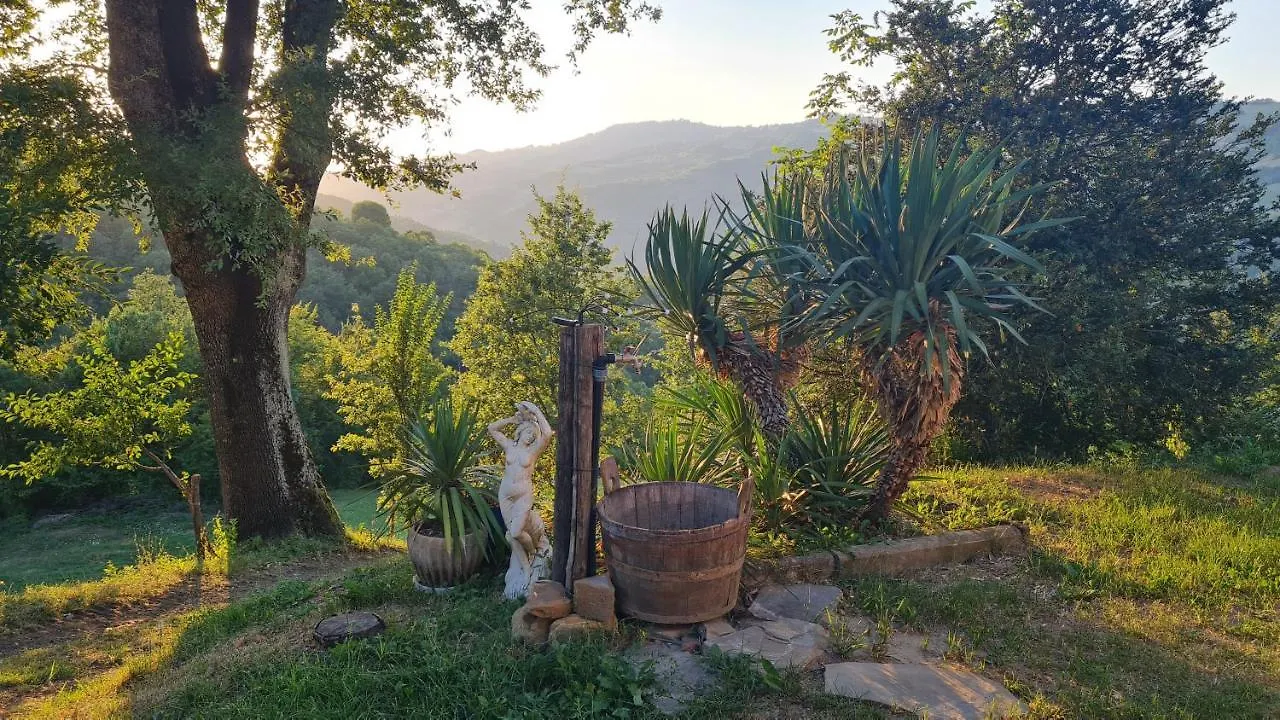 Tana Della Lavanda Montefiorino