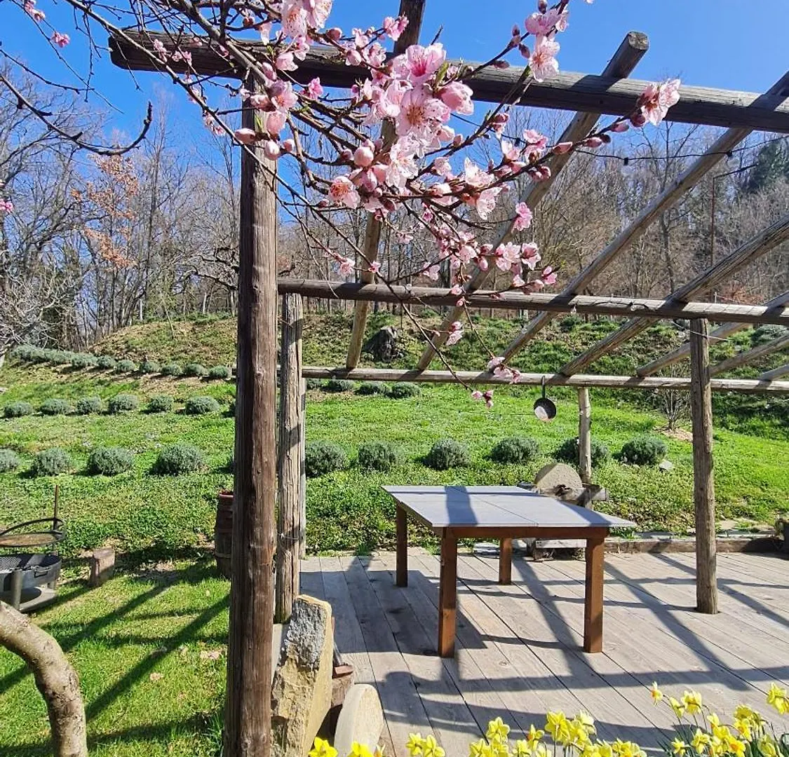 Tana Della Lavanda Montefiorino Holiday home