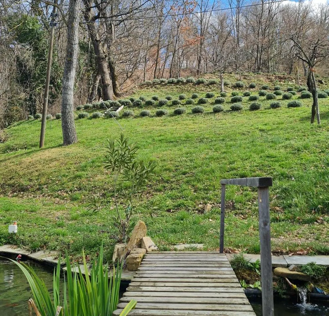 Tana Della Lavanda Montefiorino